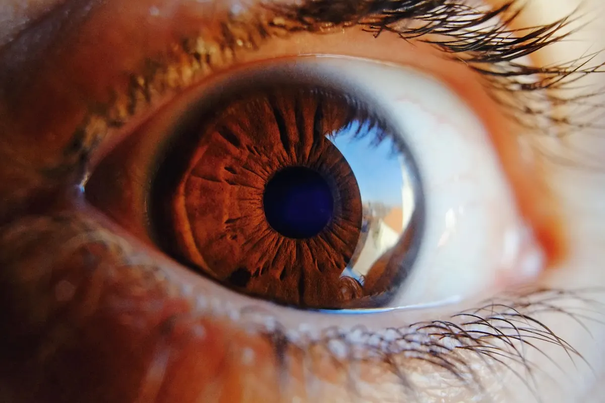 Transformers Beyond Text: How Attention Conquered Vision, Audio and Biology